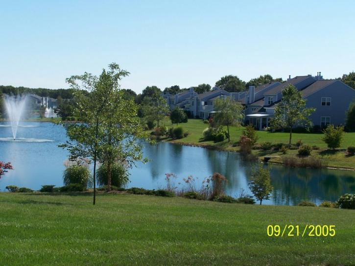 Image for Lawn Pro / Green Leaf with ID of: 961610