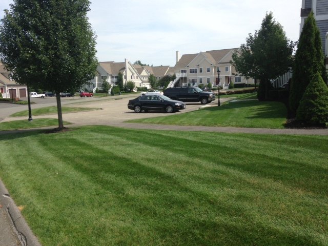 Image for California premier landscaping with ID of: 962255