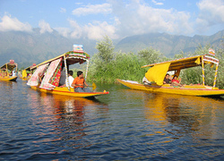 Image for Munnar Tour with ID of: 962781