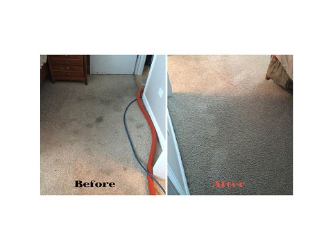 Image for A Plus Flooring with ID of: 963872
