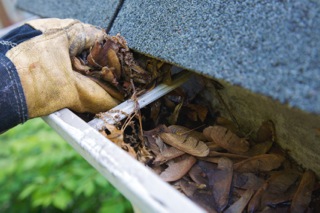 Image for EverClean Exterior Cleaning with ID of: 963919