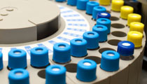 Image for Preclinical | VxP Pharma with ID of: 966966