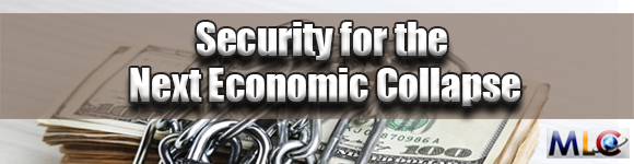 Image for Security for the Next Economic Collapse with ID of: 967808
