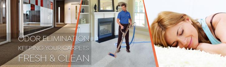 Image for All Kleen Carpet with ID of: 968878