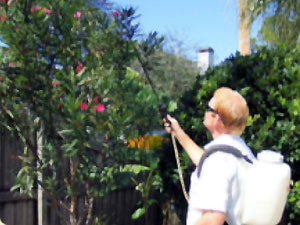 Image for Perschel and Meyer Pest Management with ID of: 969583