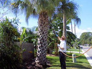 Image for Perschel and Meyer Pest Management with ID of: 969584