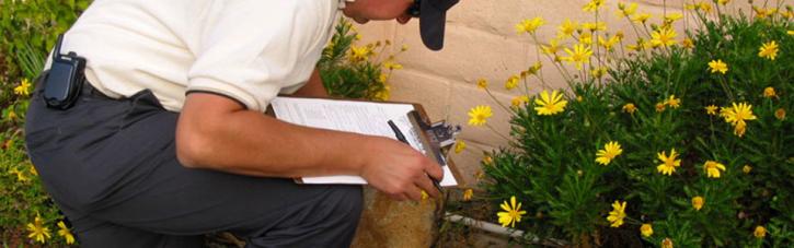 Image for Perschel and Meyer Pest Management with ID of: 969585