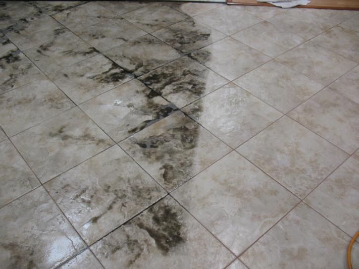Image for Desert Carpet Cleaners with ID of: 969600