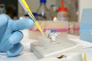 Image for ARCpoint Labs of Limerick with ID of: 969679