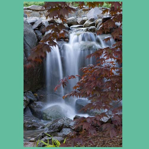 Image for Cascade Gardens with ID of: 969970