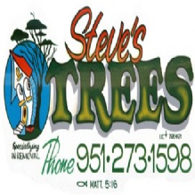 Image for Steve's Trees with ID of: 970488