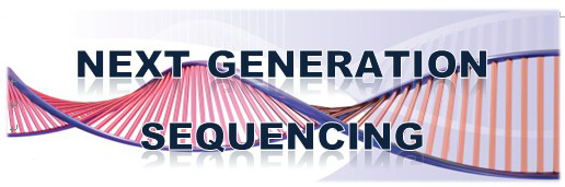 Image for Next-generation sequencing with ID of: 970646