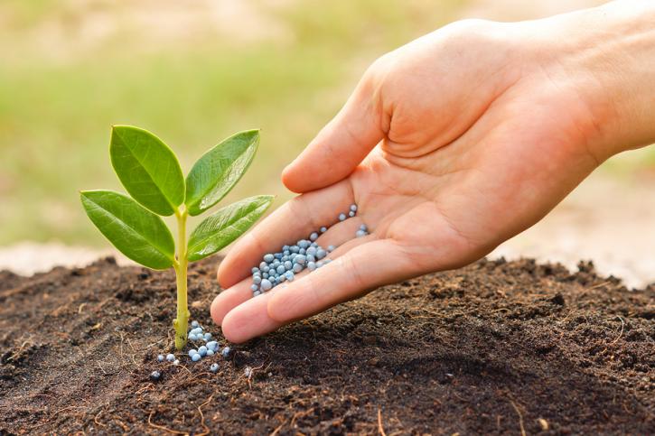 Image for Peoria Tree Care with ID of: 970976
