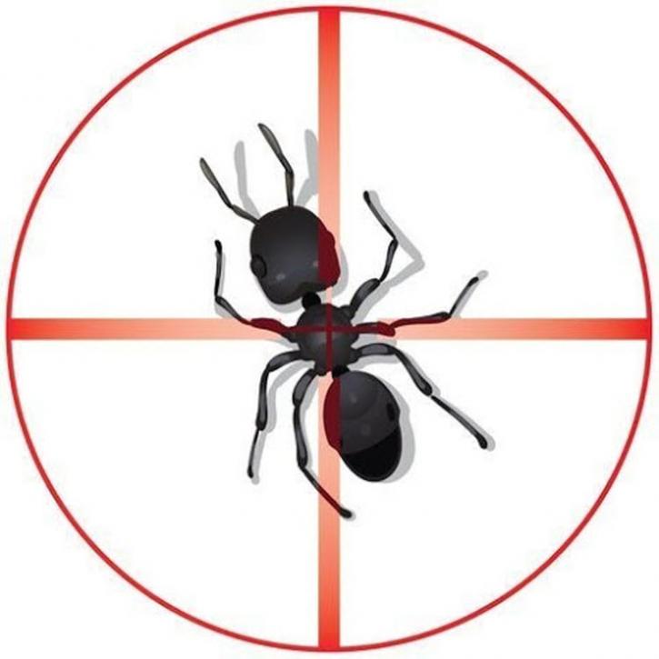 Image for Romney Pest Control with ID of: 971029