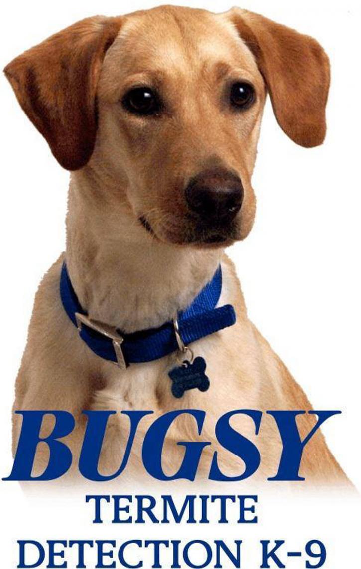Image for Bug Man Exterminating with ID of: 971059