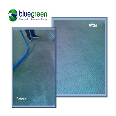Image for Bluegreen Carpet & Tile Cleaning with ID of: 971708