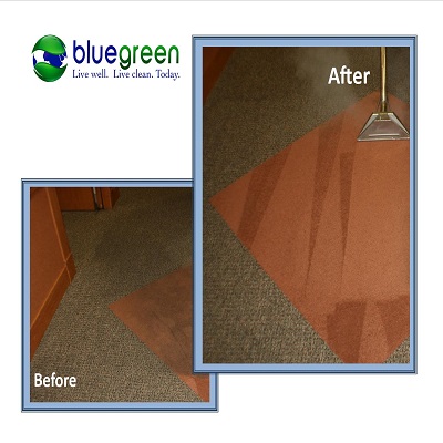 Image for Bluegreen Carpet & Tile Cleaning with ID of: 971712