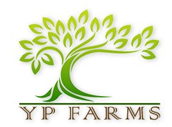Image for YP Farms with ID of: 972102