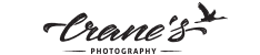 Image for Crane's Photography with ID of: 972857