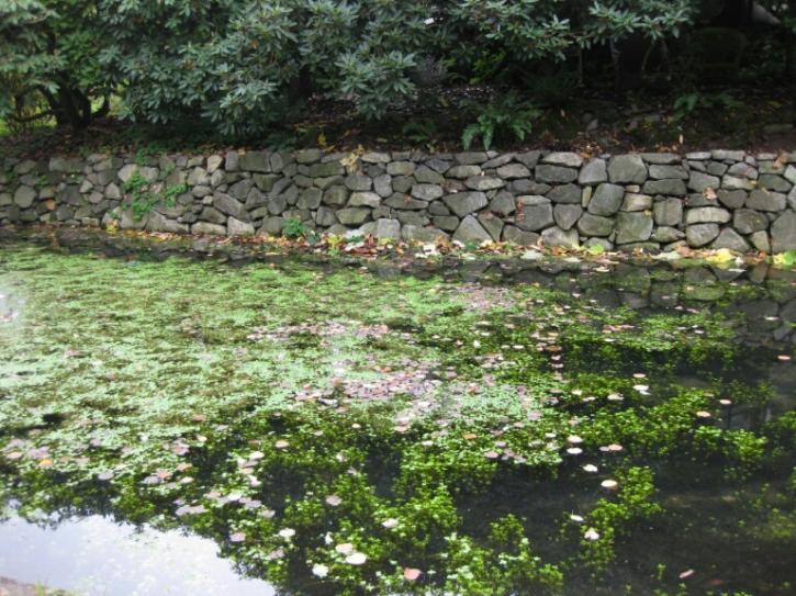 Image for Northwest Landscape Care with ID of: 974754