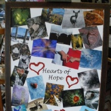 Image for Academy Art & Frame Company with ID of: 976040
