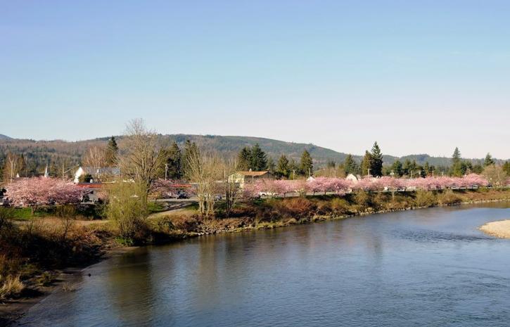 Image for Beth Traverso Real Estate, Re/Max on the Lake with ID of: 976731