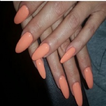 Image for Sky Nails & Spa with ID of: 979669