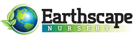 Image for Earthscape Nursery with ID of: 980126