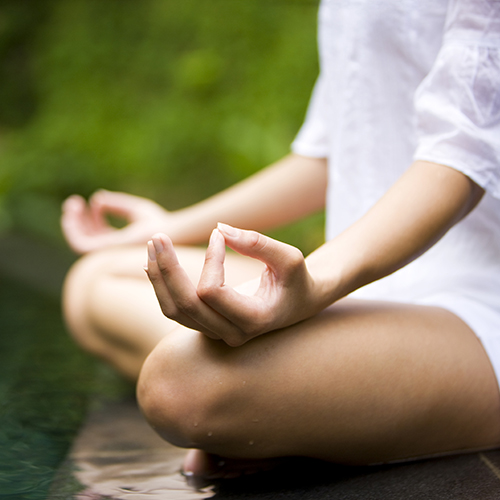 Image for South Florida Meditation with ID of: 980296