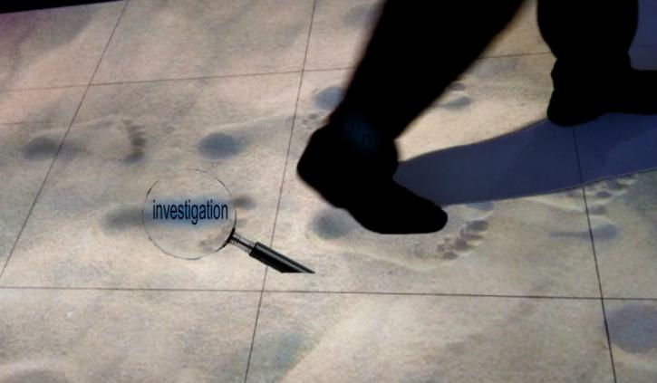Image for investigation with ID of: 981884