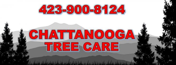 Image for Chattanooga Tree Care with ID of: 982642