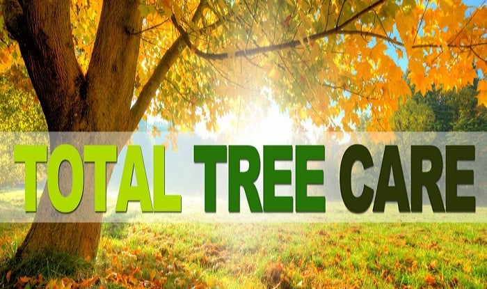 Image for Metroplex Arbor Care with ID of: 983279