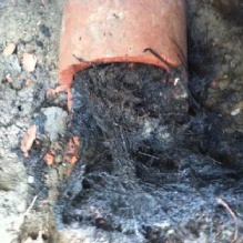 Image for Wallace & Son Plumbing with ID of: 983880