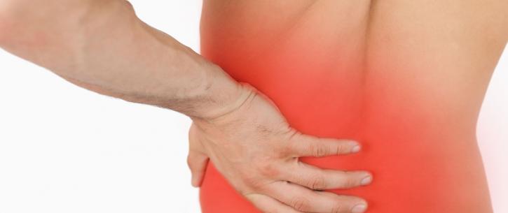Image for Fluid Chiropractic with ID of: 983988