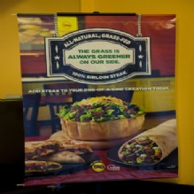 Image for Moe's Southwest Grill with ID of: 984248