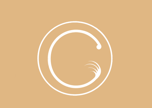 Image for Caroline’s Lash Boutique with ID of: 986399