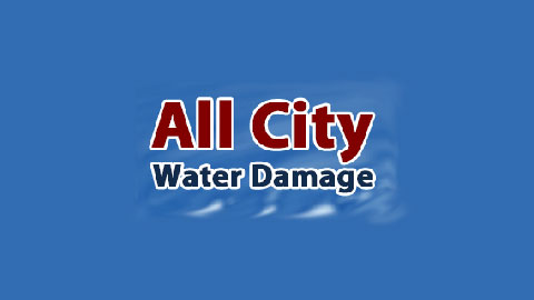 Image for All City Water Damage with ID of: 986773