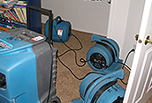 Image for All City Water Damage with ID of: 986781