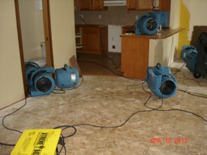 Image for All City Water Damage with ID of: 986782