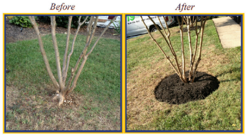 Image for First Step Landscaping & Home Improvement with ID of: 986994