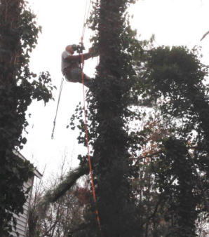 Image for First Step Landscaping & Home Improvement with ID of: 986998
