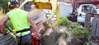 Image for Macon Tree Service by Blalock with ID of: 987662