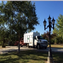 Image for Art Martin Tree Service with ID of: 987741