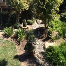 Image for Art Martin Tree Service with ID of: 987742