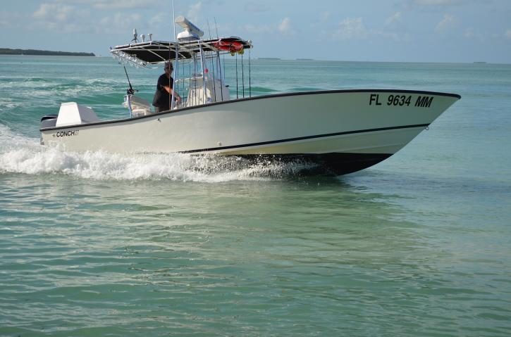 Image for Always An Adventure Charters with ID of: 987753