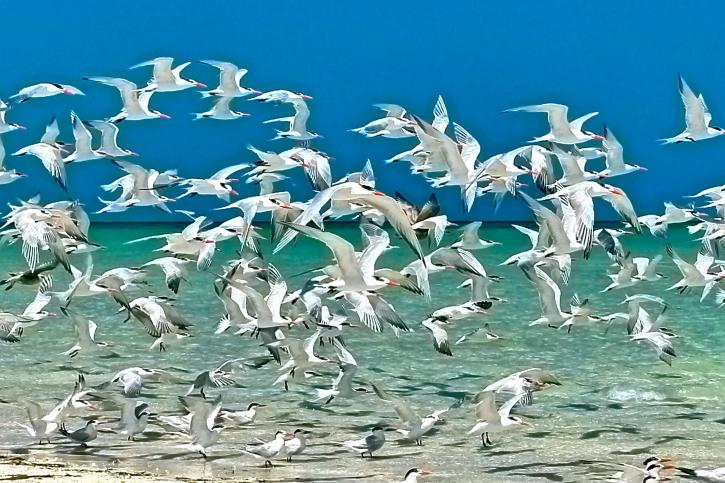 Image for Always An Adventure Charters with ID of: 987759