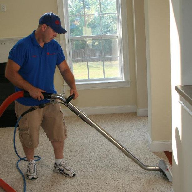 Image for Days Carpet Care with ID of: 988503