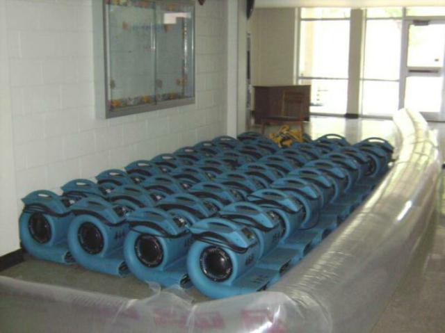 Image for Days Carpet Care with ID of: 988509