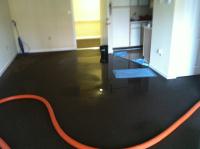 Image for Days Carpet Care with ID of: 988510