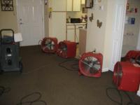 Image for Days Carpet Care with ID of: 988512